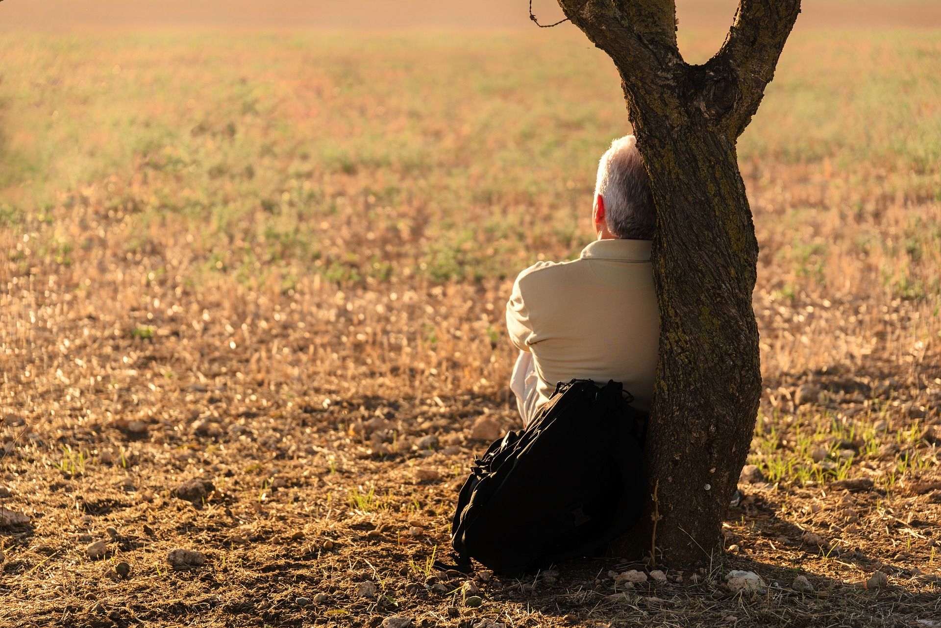 The study found a large array of associations between potentially modifiable ADRD risk factors and both loneliness and lack of social support.  Image Credit: Josealbafotos, Pixabay, CC0 The study found a large array of associations between potentially modifiable ADRD risk factors and both loneliness and lack of social support.  Image Credit: Josealbafotos, Pixabay, CC0